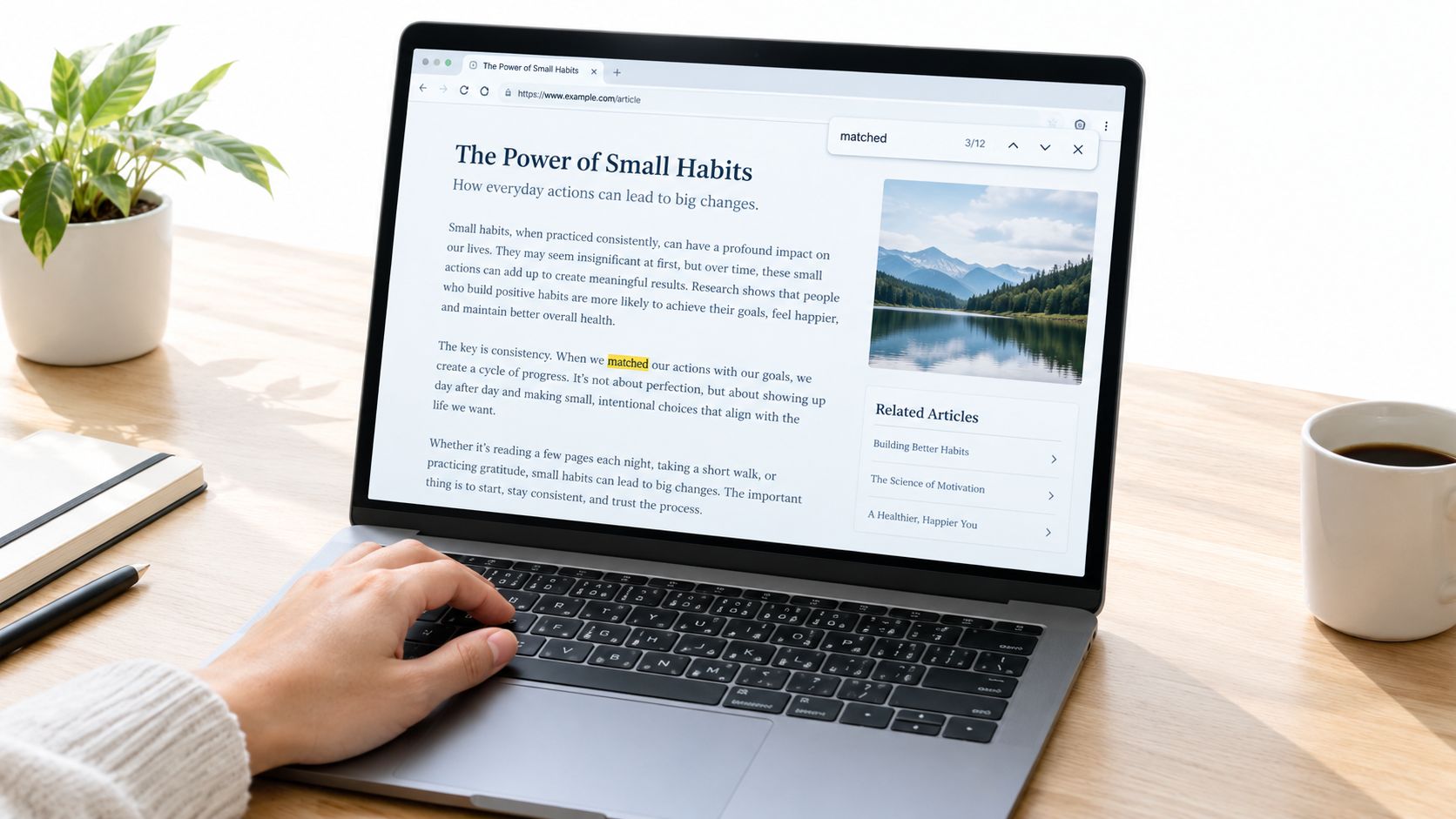 Screenshot from https://example.com/screenshots/browser-find-bar.png